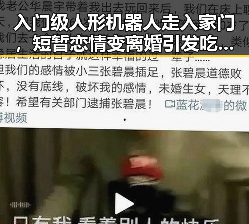 入门级人形机器人走入家门，短暂恋情变离婚引发吃瓜热议
