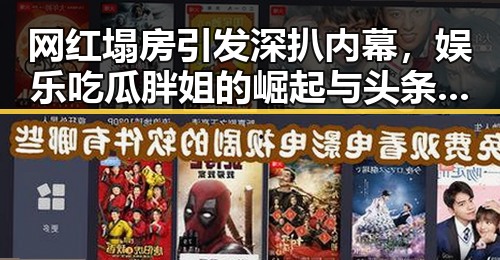 网红塌房引发深扒内幕,娱乐吃瓜胖姐的崛起与头条号登录微头条的新玩法