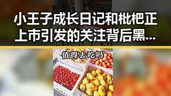 小王子成长日记和枇杷正上市引发的关注背后黑料揭秘
